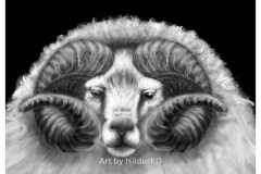 Designed by HildurKO - 4