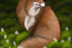 Fox-at-Midnight-Animal-Art-2019