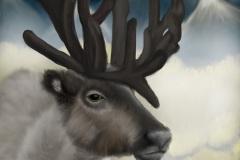 Icelandic-Reindeer-Animal-Art-2019