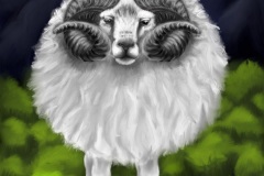 Icelandic-Sheep-life-Animal-Art-2019