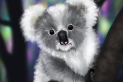 Koala-Blessings-Digital-Animal-Art-2019