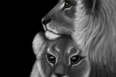 Lion-love-Digital-Animal-Art-2019