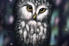 Night-Owl-Digital-Animal-Art-2019