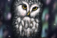 Night-Owl-Digital-Animal-Art-2019