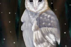 Owl-Night-Watch-Digital-Animal-Art-2019