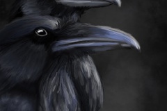 Odins-Ravens-Huginn-og-Muninn-2020